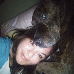 Meet your Posher, Paula